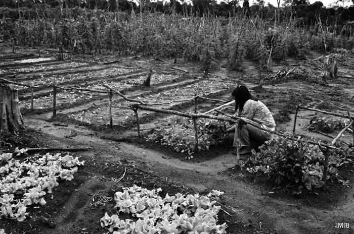 AÑO 1974 - BLANCO Y NEGRO - VIDA CAMPESINA EN PARAGUAY (JOSÉ MARÍA BLANCH)